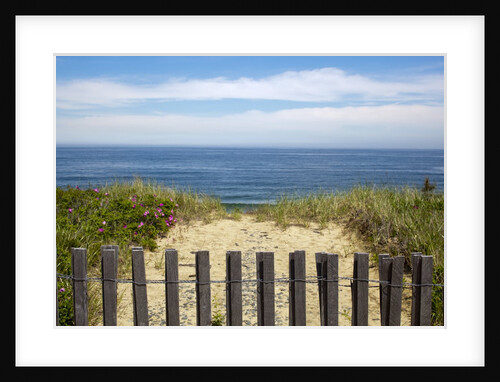 Fence and sand dunes on coast by Anonymous