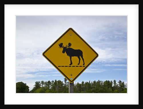 Moose crossing sign by Anonymous