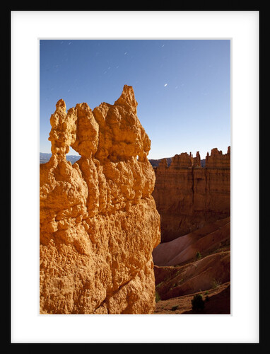 Rock formations in Bryce Canyon National Park in moonlight by Anonymous