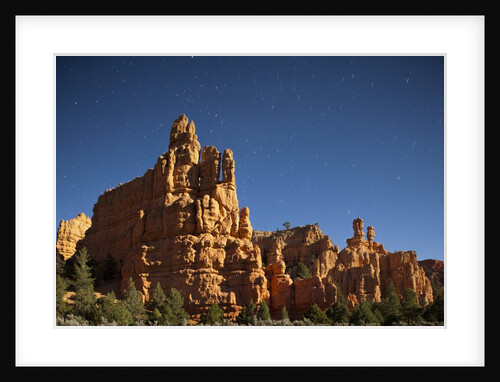 Pinnacles in moonlight at Dixie National Forest, Utah by Anonymous