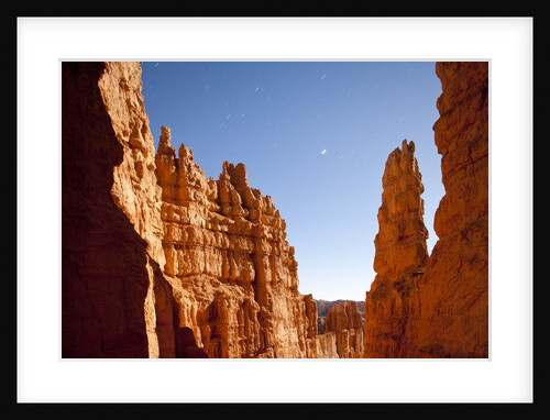 Rock formations in Bryce Canyon National Park in moonlight by Anonymous