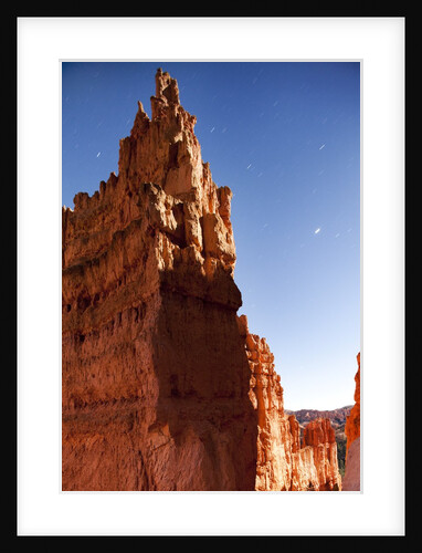 Rock formations in Bryce Canyon National Park in moonlight by Anonymous