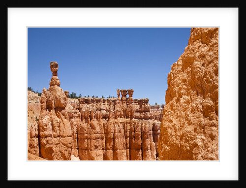 Rock formations in Bryce Canyon National Park by Anonymous