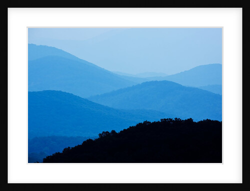 Skyline Drive, Shenandoah National Park, Virginia by Anonymous