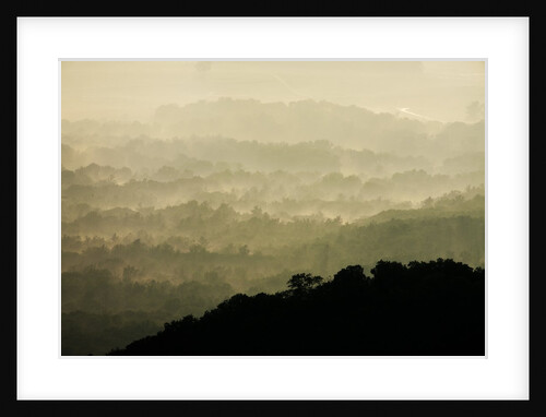 Skyline Drive, Shenandoah National Park, Virginia by Anonymous