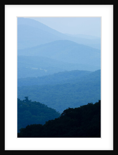 Skyline Drive, Shenandoah National Park, Virginia by Anonymous