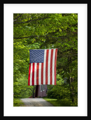 American flag hanging above gravel road by Anonymous