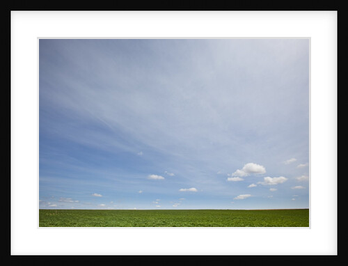 Sky above wheat field by Anonymous