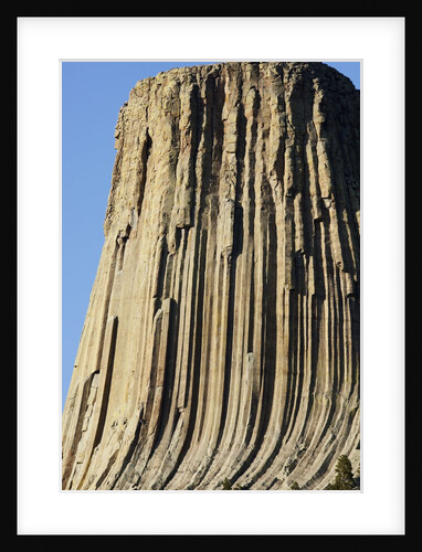 Devils Tower National Monument by Anonymous