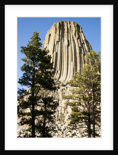 Devils Tower National Monument in Wyoming by Anonymous