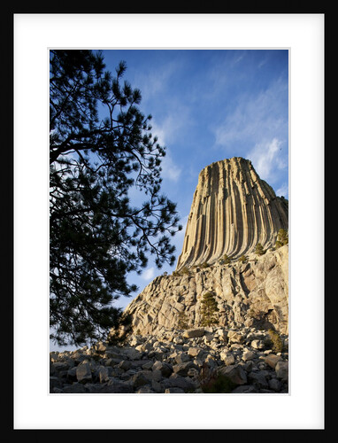 Devils Tower National Monument in Wyoming by Anonymous