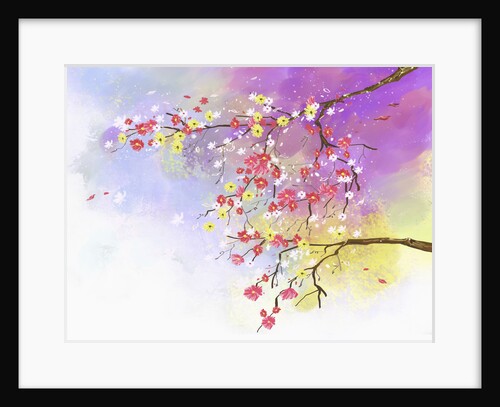 Flower petals by Anonymous