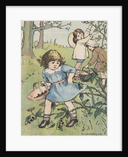 Girl caught on blackberry bushes by Anonymous