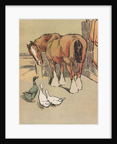 Horse and ducks by Anonymous
