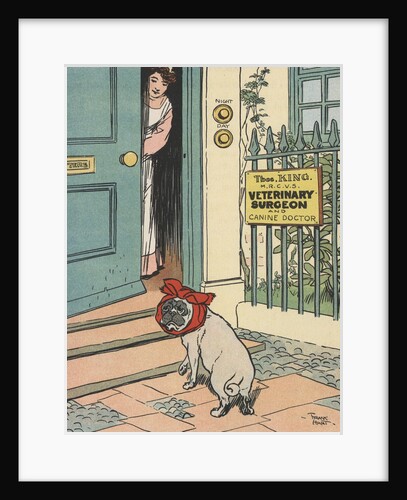 Sick dog arriving at veterinary hospital by Anonymous