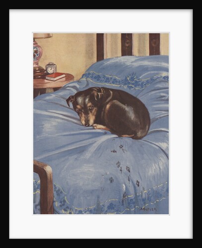 Dog lying on bedspead with muddy pawprints by Anonymous