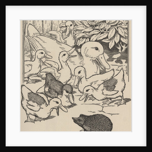 Hedgehog and ducklings by Anonymous