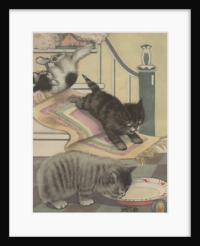 Kittens playing and drinking milk by Anonymous
