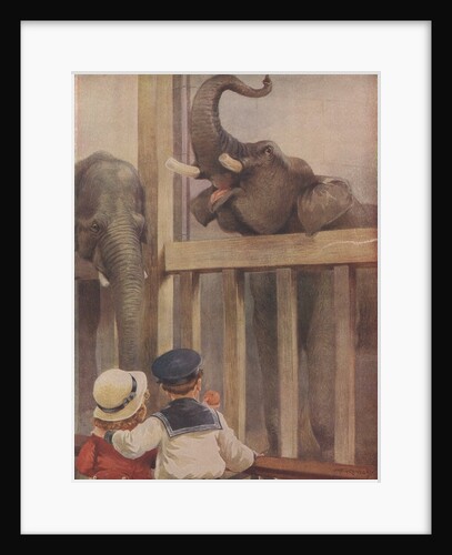 Children looking at elephants in zoo by Anonymous