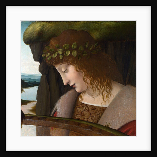 Narcissus by a Corbis