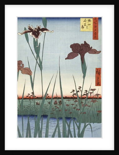 Horikiri Iris Garden by Utagawa Hiroshige