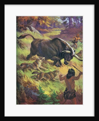 Cavemen hunting an auroch by Anonymous