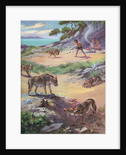Jackals stealing food from cavemen by Anonymous