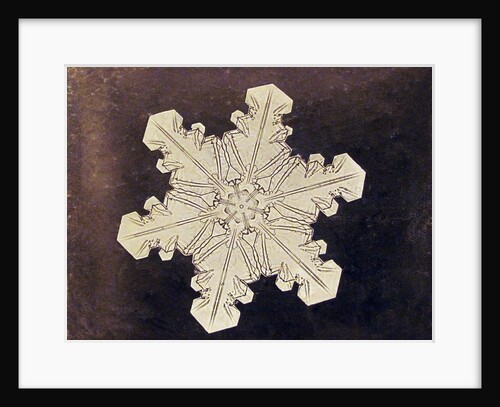 Study of a snowflake by Anonymous