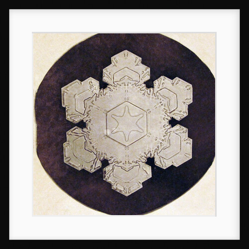 Study of a snowflake by Anonymous