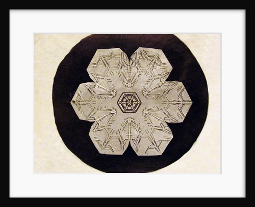 Study of a snowflake by Anonymous