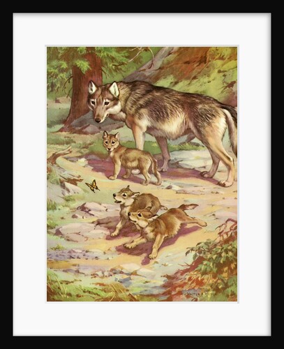 Mother wolf with pups by Anonymous