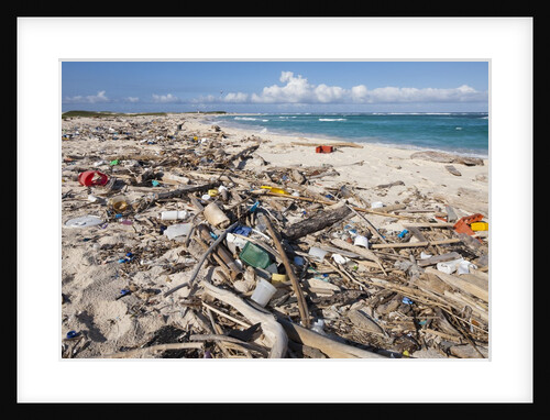 Trash-covered beach in Aruba by Anonymous