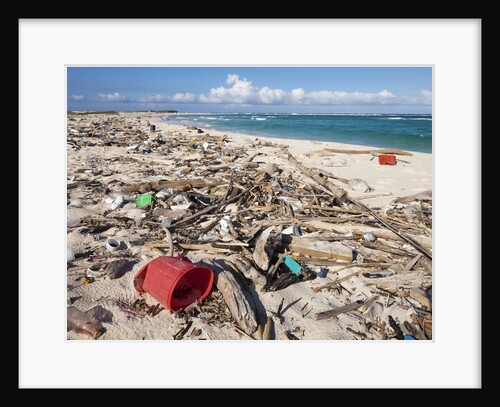 Trash-covered beach in Aruba by Anonymous