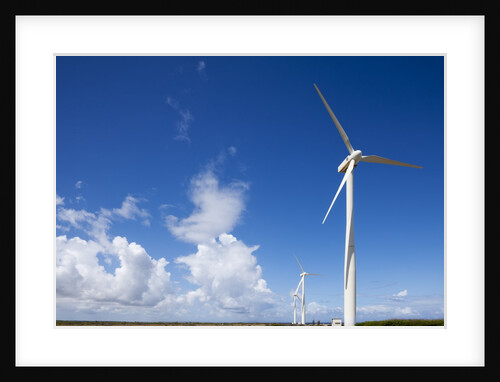 Wind Turbines at Curacao by Anonymous