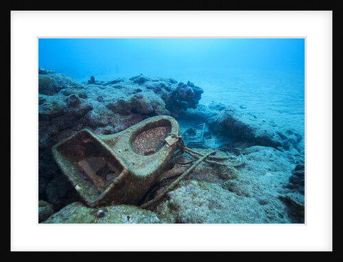 Toilet bowl resting on coral reef in Dominican Republic by Anonymous