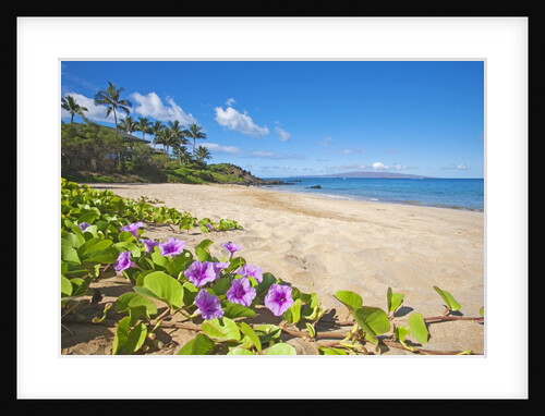 Palau'ea Beach, Maui, Hawaii by Anonymous