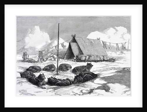 Method of fastening the dogs while camping by Anonymous