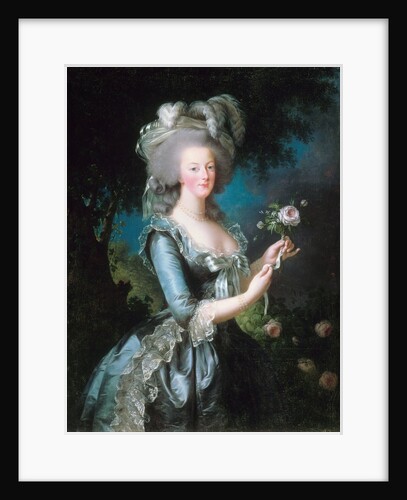 Marie-Antoinette with a Rose by Elisabeth Vigee-Lebrun