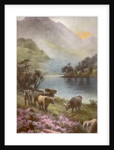 Scene of countryside in Scotland by Anonymous