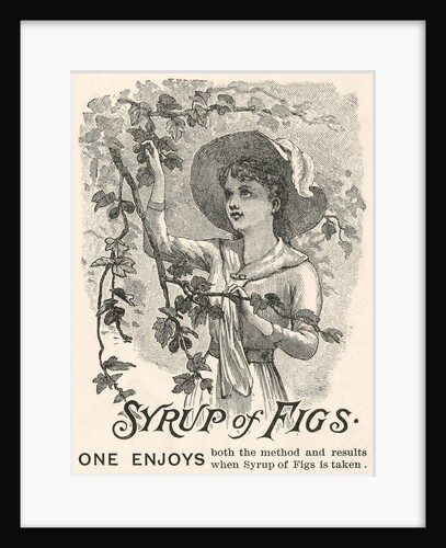 Syrup of Figs advertisement by Anonymous