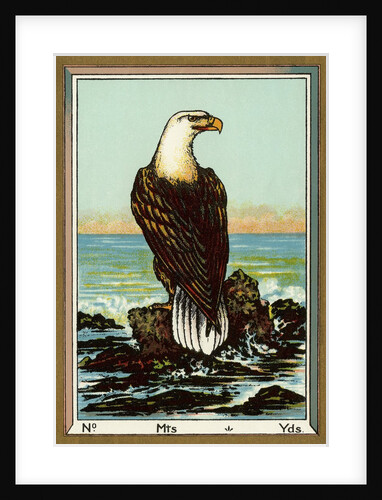 Czech English cotton label with bald eagle by Anonymous