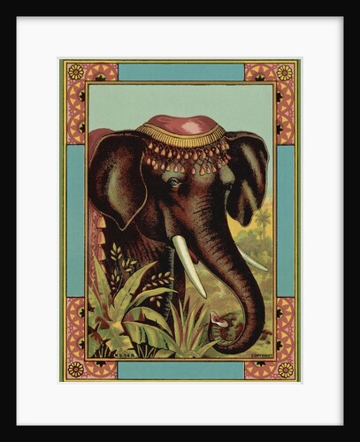 Czech English cotton label with elephant by Anonymous