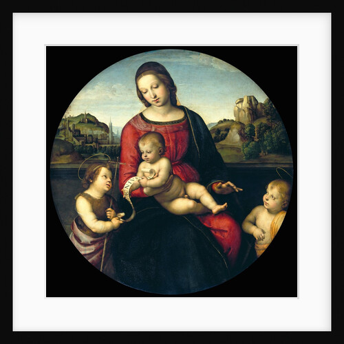 Tondo of the Virgin and Child with John the Baptist and a Holy Boy (The Madonna Terrranuova) by Raphael