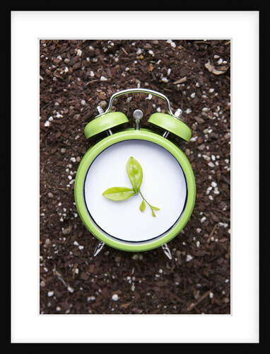 Eco friendly green concepts by Anonymous