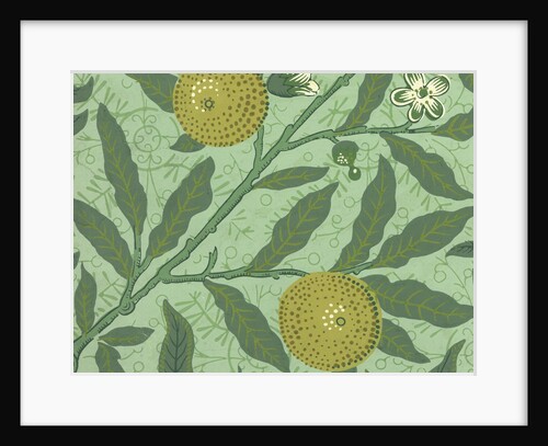 William Morris wallpaper sample with lemons and branches by Anonymous