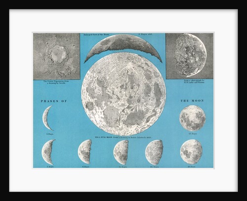 Illustration of the full moon and phases of the moon by Anonymous