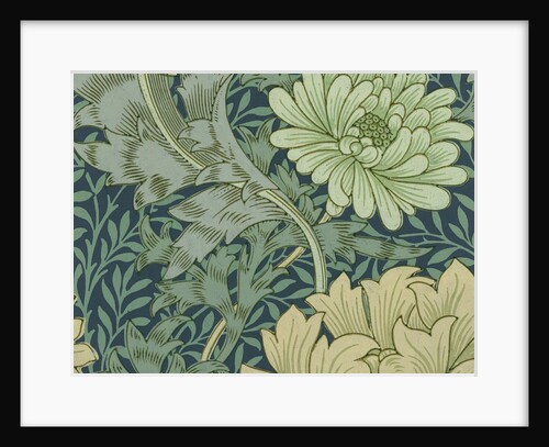 William Morris wallpaper sample with chrysanthemum by Corbis