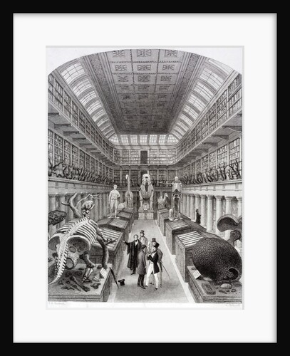 Hunterian Museum at the Royal College of Surgeons by Anonymous