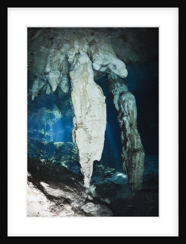 Stalactites in Gran Cenote, Tulum, Yucatan Peninsula, Mexico by Anonymous