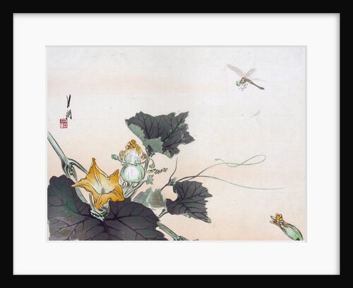 Dragonfly and a Pumpkin Blossom by Ogata Gekko